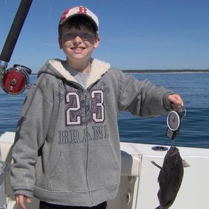 Meet your Posher, Jamie